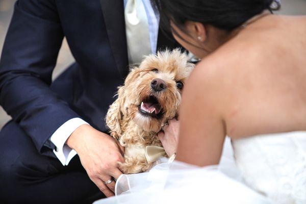 Bride & Groom