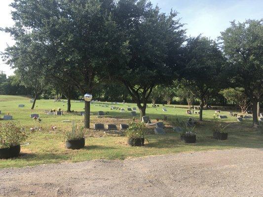 Morning view of our cemetery