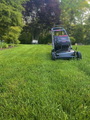 EcoQuiet Lawn Care