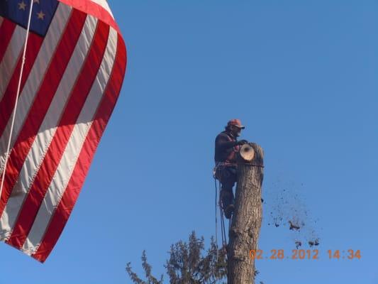 Poughkeepsie's finest tree service professionals 