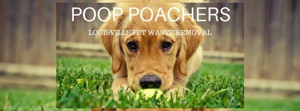 Poop Poachers