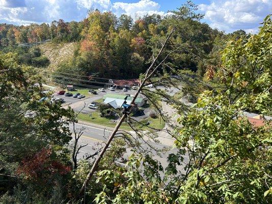 Topping pines in Pigeon Forge