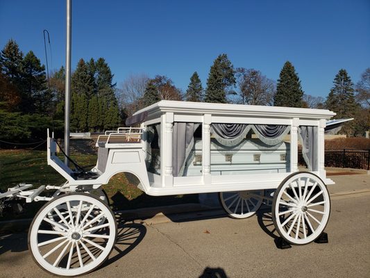 White Horse Drawn Hearse