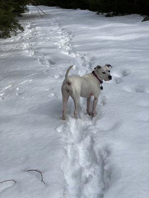 What's taking so long mom?  Come on, hurry up, let's go!!!