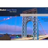 Radol Law Firm Website