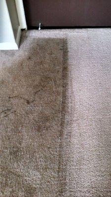 Before and After Photos of an actual client's carpet.