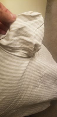 Swiss Cleaners in Panorama City  has a very bad customer service and bad quality see how wrinkle they leave my dress.