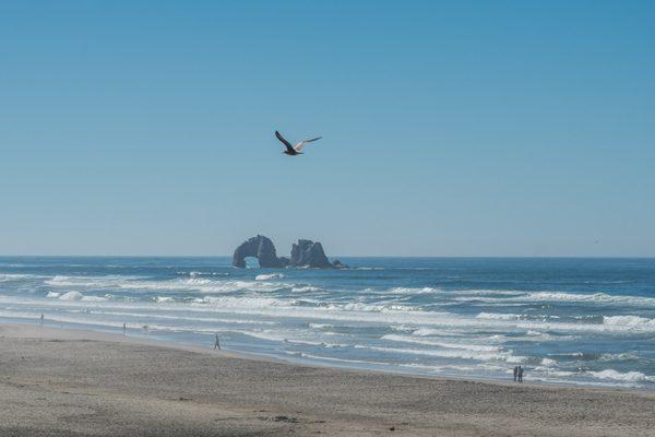 A gorgeous summer day in Rockaway!