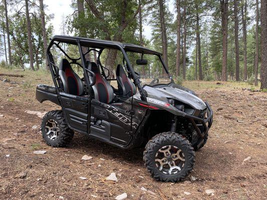 Kawasaki Teryx-Seats 4 and is very comfortable