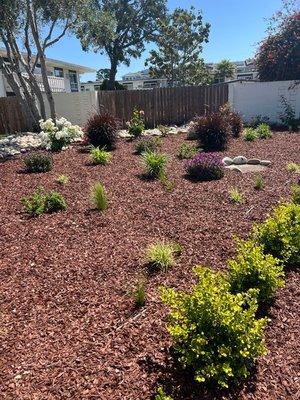 Detail of landscaping behind pool area.