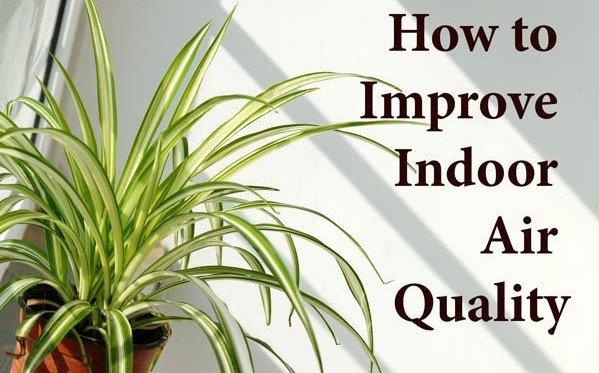 Improve your indoor air quality!