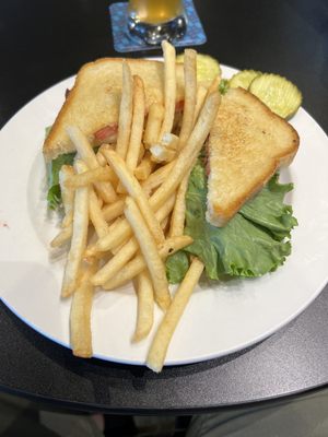 Turkey cranberry sandwich with fries