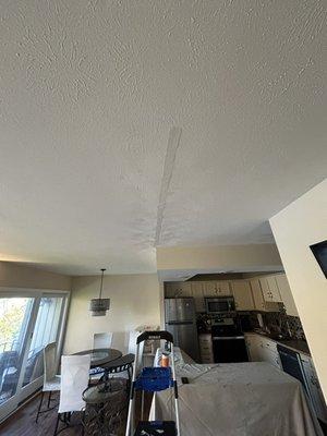 Textured ceiling repair