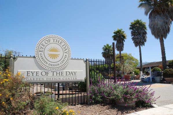 Welcome to Eye of the Day