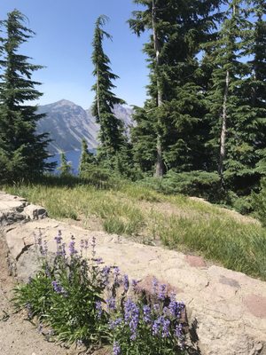 Crater Lake Lodge