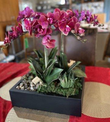 Silk orchids for my dining table