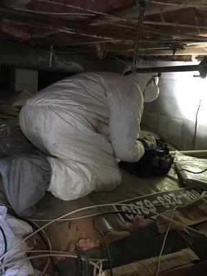 Inspecting the crawlspace and foundation.