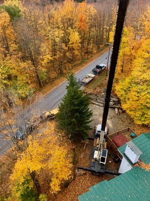 Wimmelman And Sons Logging And Tree Service