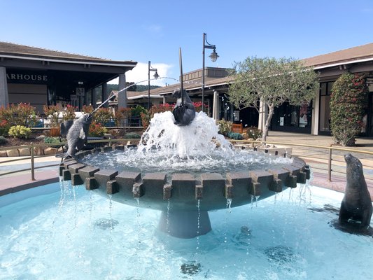 Make a wish at the fountain! All proceeds support local nonprofits.