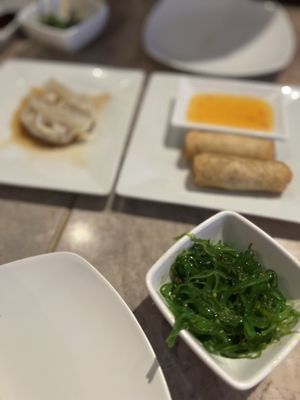 Seaweed salad, spring rolls, pork gyoza