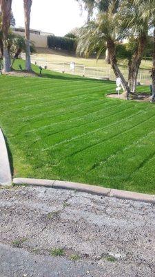 Great Lawn Maintenance, Healthy Grass makes Homes Happy!