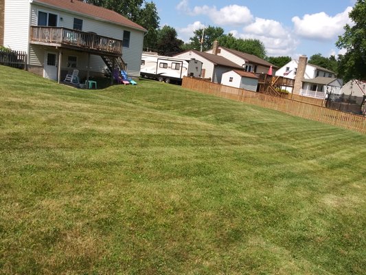 Lawn transformed