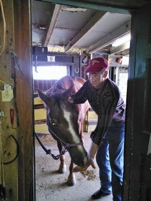 Apple time for Trey, a beautiful and responsive quarter horse.