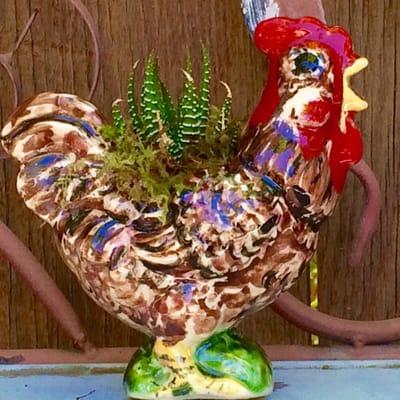 Colorful Rooster succulent container