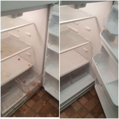 Fridge Cleaning