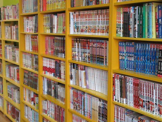 Lots of manga (that's Japanese comics)!