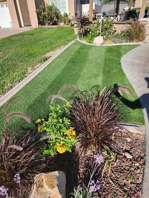 Freshly Power Broomed & Striped Turf