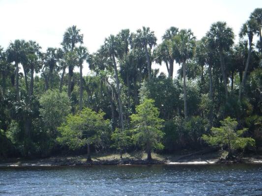 Hickory Bluffs Preserve