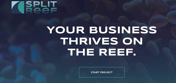 Split Reef - Digital Marketing Agency Columbus