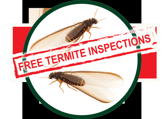 It is Termite swarming season! Call Today for a Free Termite Inspection.