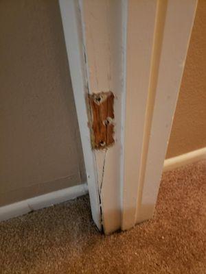 The door jam they refused to replace for 3 months.