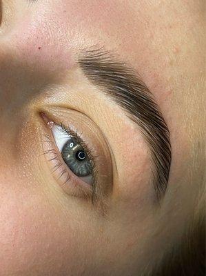 Brow Lamination with Tint