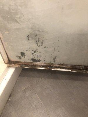 First day of move in, mold in shower