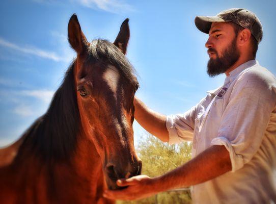 Equine Therapy at America's Rehab Campuses