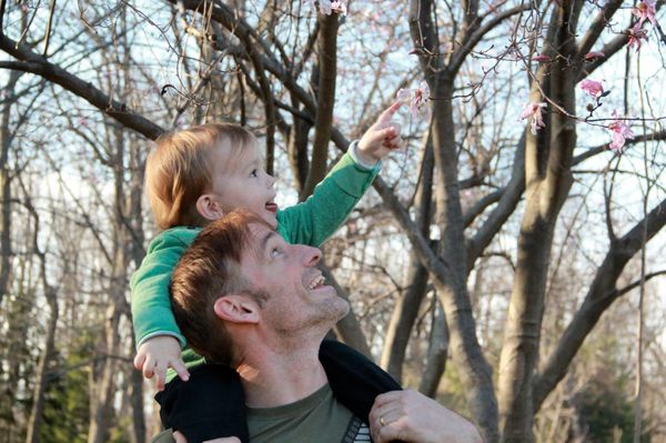 My husband and our boy:) The magnolia trees bloom again thanks to Lashco! ?