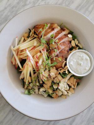 chicken & apple salad with almonds and blue cheese dressing