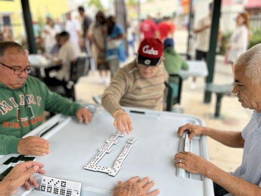 Domino park