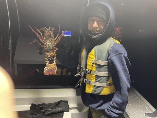 Spiny lobster