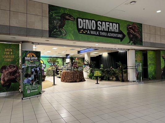 Dino Safari.