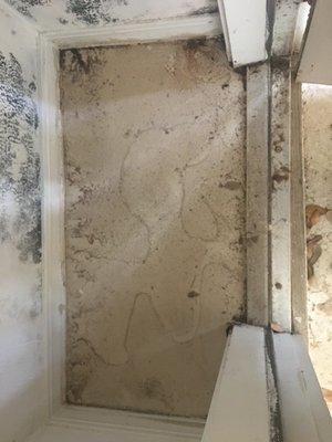 more mold and mildew left AFTER repairs