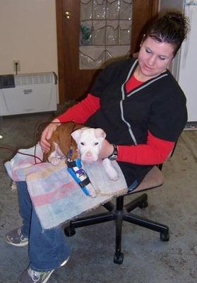 Our veterinary assistant, Amanda, giving some quality cuddle time to a patient