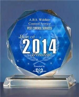 Award for best Wildlife Control Service in Arcadia Michigan