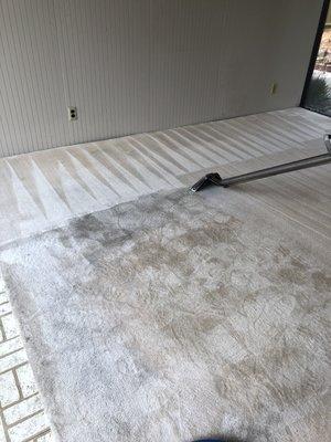 Countywide Carpet & Restoration