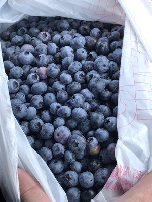 Blueberries.