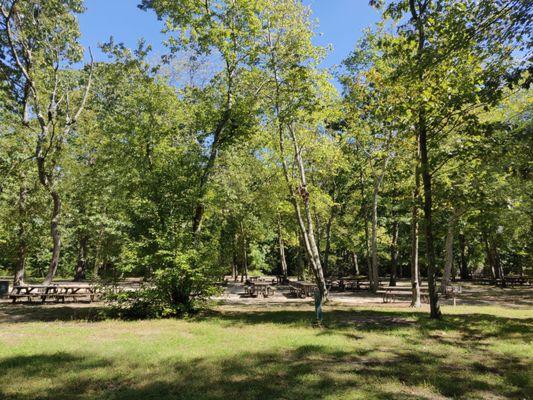 Plenty of picnic tables and grills