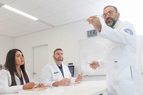 Students on the Phoenix Biomedical Campus participating in the Physician Assistant program